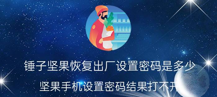 锤子坚果恢复出厂设置密码是多少 坚果手机设置密码结果打不开？